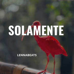 Solamente
