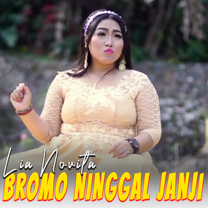 Bromo Ninggal Janji