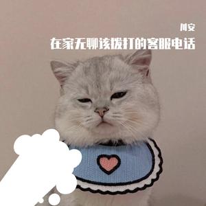 在家无聊时该拨打的客服电话