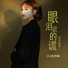 眼泪说的谎 (DJ伟然版)