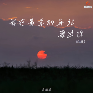我在最美的年纪爱过你（DJ版伴奏）