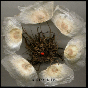 Fragile-Struggente