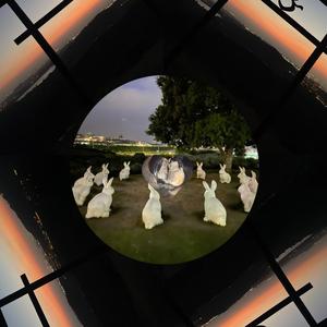 Psilocybin (feat. Tiz)