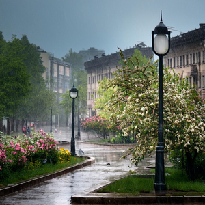 새싹이 피어나는 소리