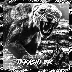 MONTAGEM TEKASHI BR (slowed)