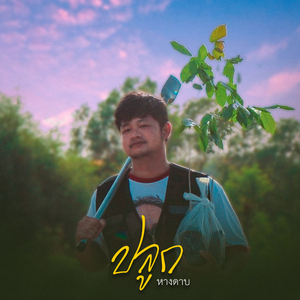 ปลูก