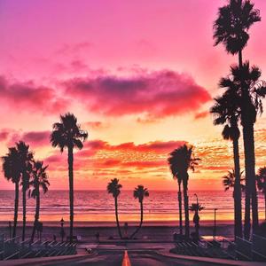 [Free] & "未 来 / 期 盼“ (Prod.by lamperAye)