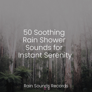 Echoes of the Woodland Sky