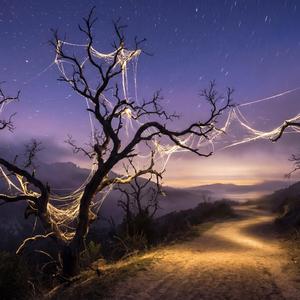 Started with a thread inside the bone