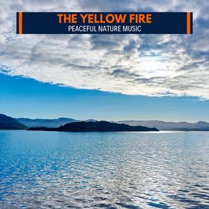 Peaceful Woodland View