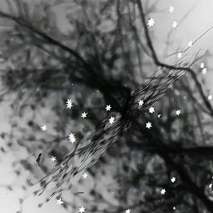 有形的翅膀x0.98（片段）