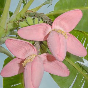 复古嘻哈的松弛少年