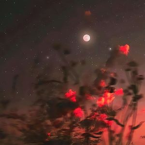 少年的梦（Prod.Gr33nart）