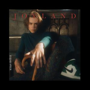 Joyland