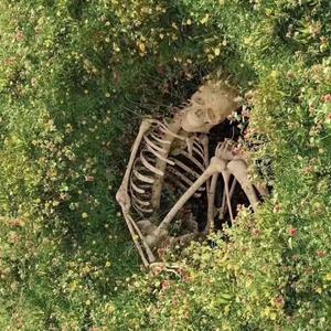 The light（追光者 remix）