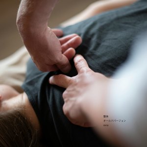 整体 (オールドバージョン)