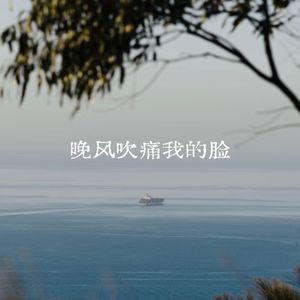 晚风吹痛我的脸