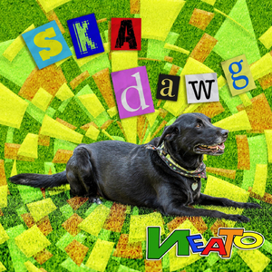 Ska Dawg