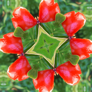 I have a sensation of metamorphosis as the ritual goes on