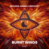 Ragunde - Burnt Wings