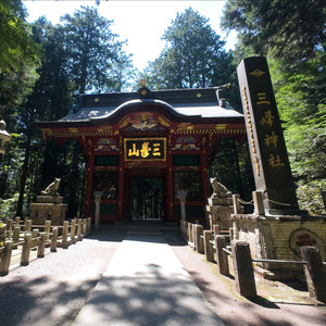 新おいぬさまよ