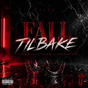 Fall tilbake