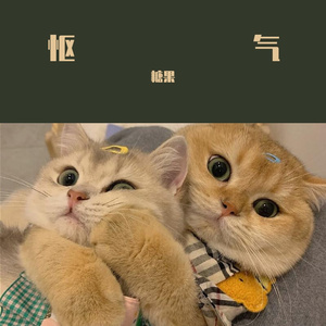 nmnm