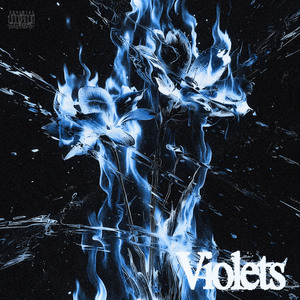 Violets