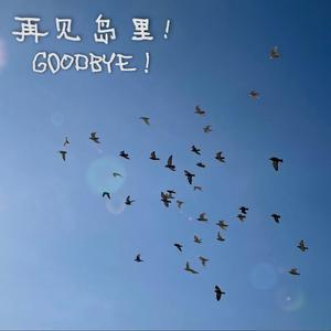 再见岛里