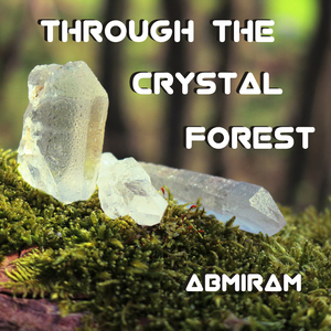 Through the Crystal Forest