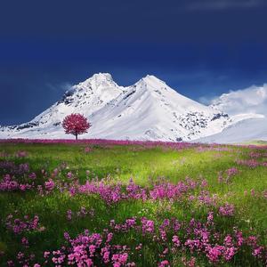 睡前舒缓催眠曲 (钢琴)