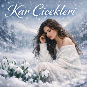 Kar Çiçekleri