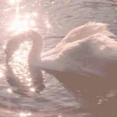 无人之岛 (钢琴版)