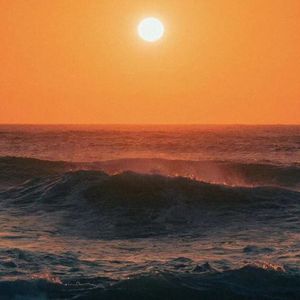 风向仪（Cover DEPAPEPE)