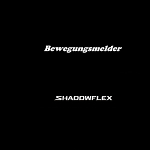 bewegungsmelder