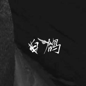 白鸽(抖音完整版)