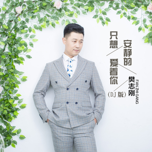 只想安静的爱着你（DJ版）
