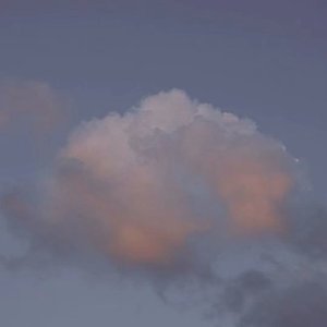 空城过敏