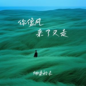 你像风来了又走