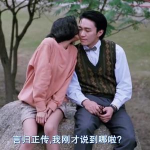 Limited Endrophins 限定内啡肽