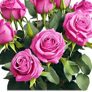 The Fading Light (remix)