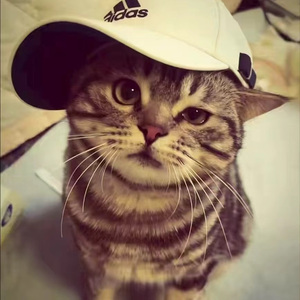 “要多勇敢才能翻过这页你”