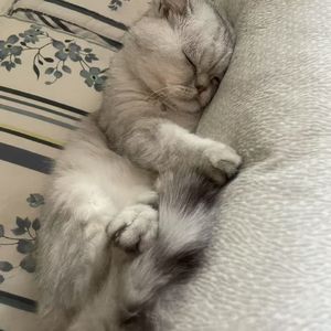 这世界只有你明白我