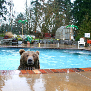 If You're Singing This It's Too Late