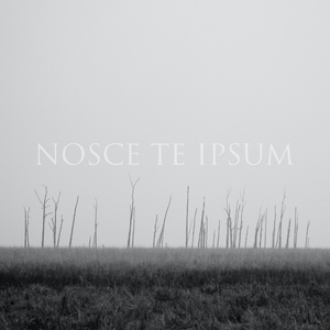 Nosce Te Ipsum