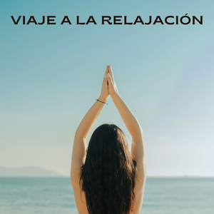 Sentidos En Equilibrio