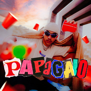 Papagaio