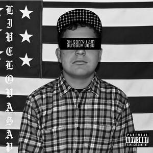 dojebaný (cover - I smoked Away My Brain)