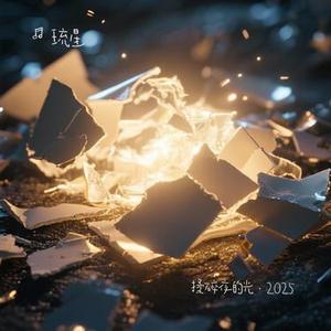 揉碎夜的光·2025 (Cover 高睿)