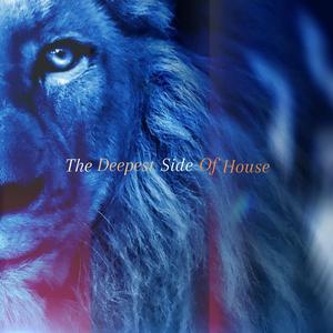 The deepest sound of house